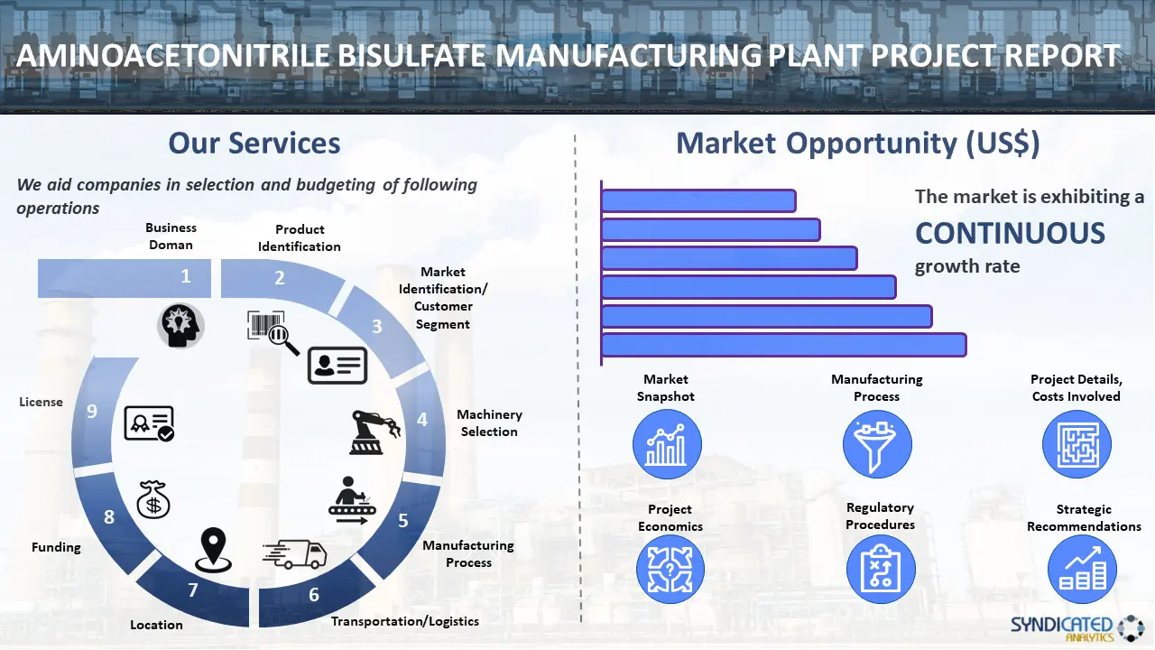 Aminoacetonitrile Bisulfate Manufacturing Plant